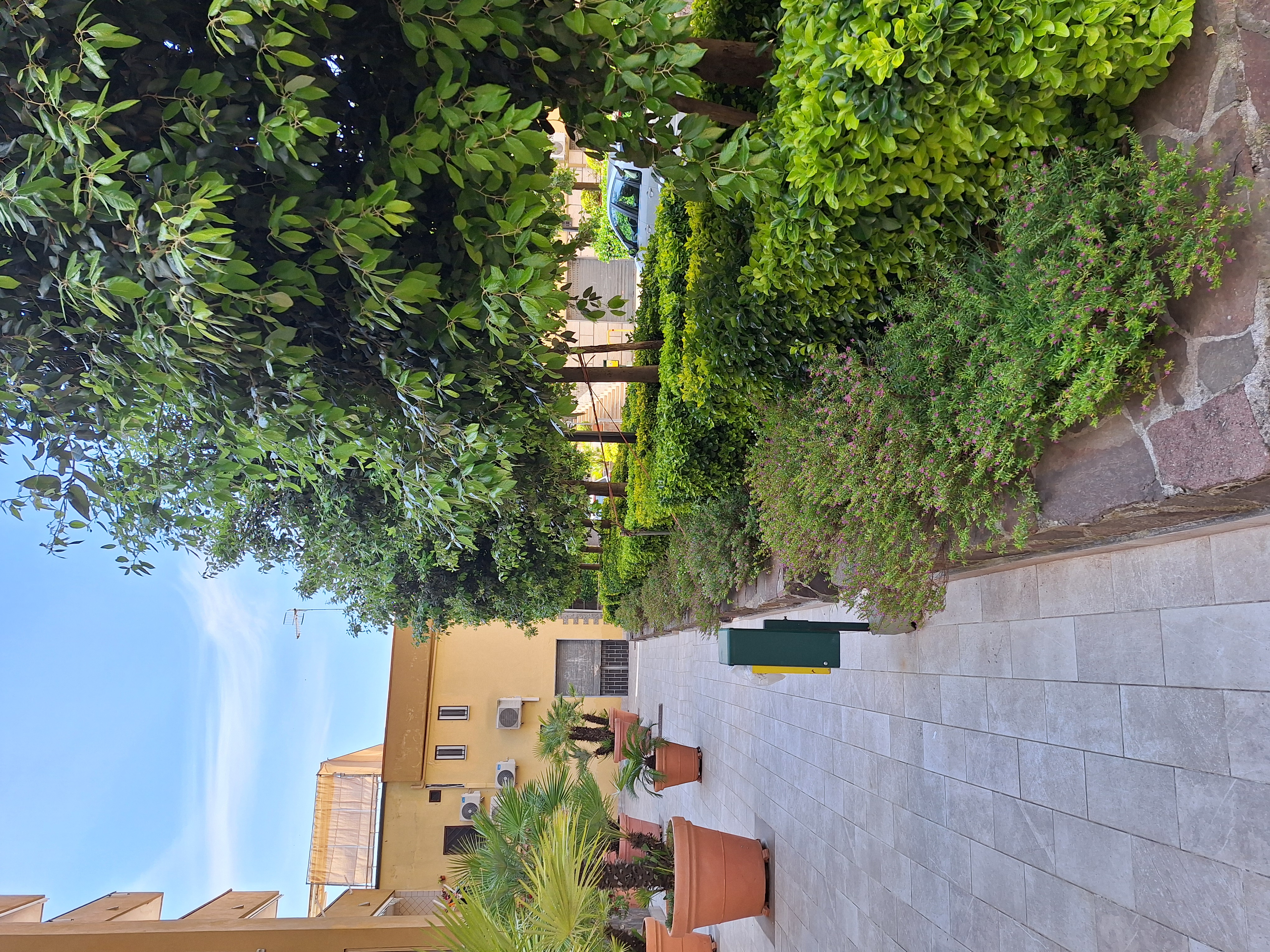 Giardini
